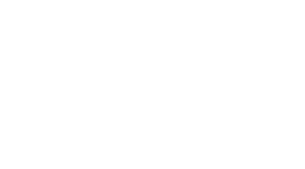 ana logo